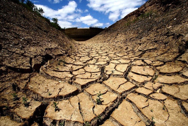 Barren soil/unproductive soil