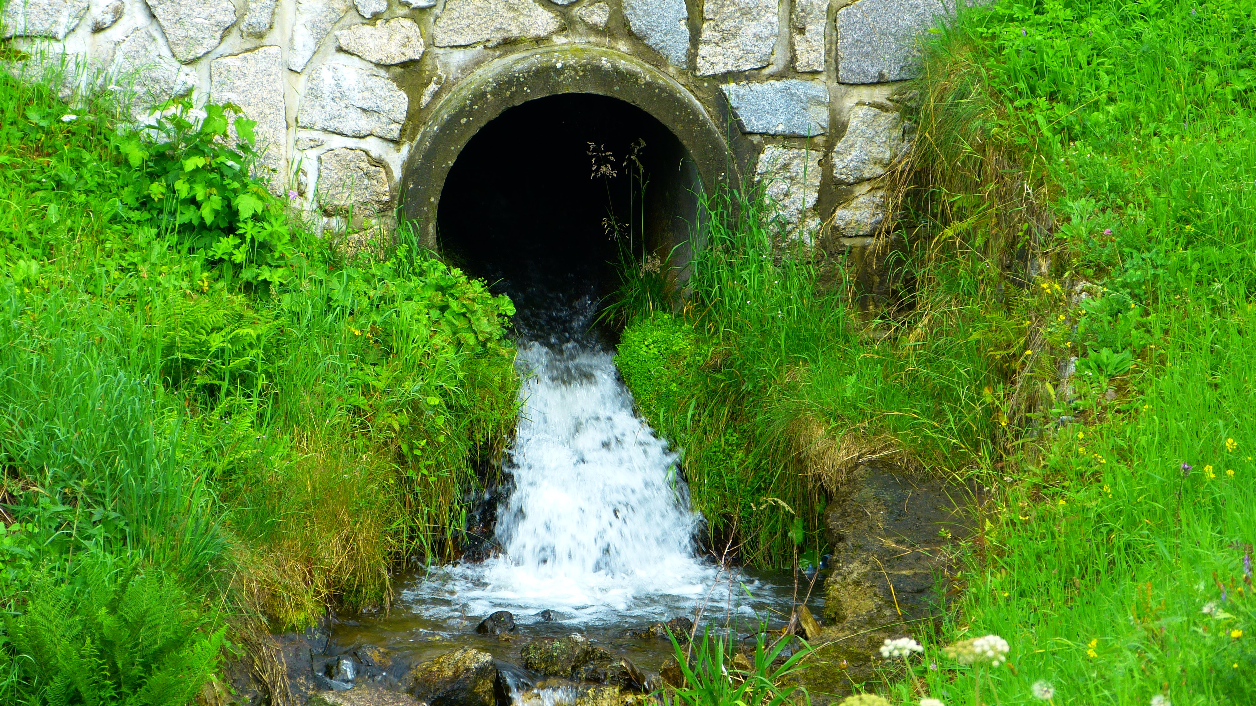 water in the ditch